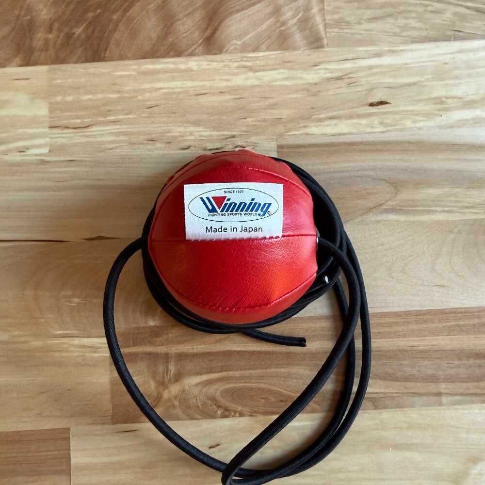 Winning Speed Ball Boxing Training